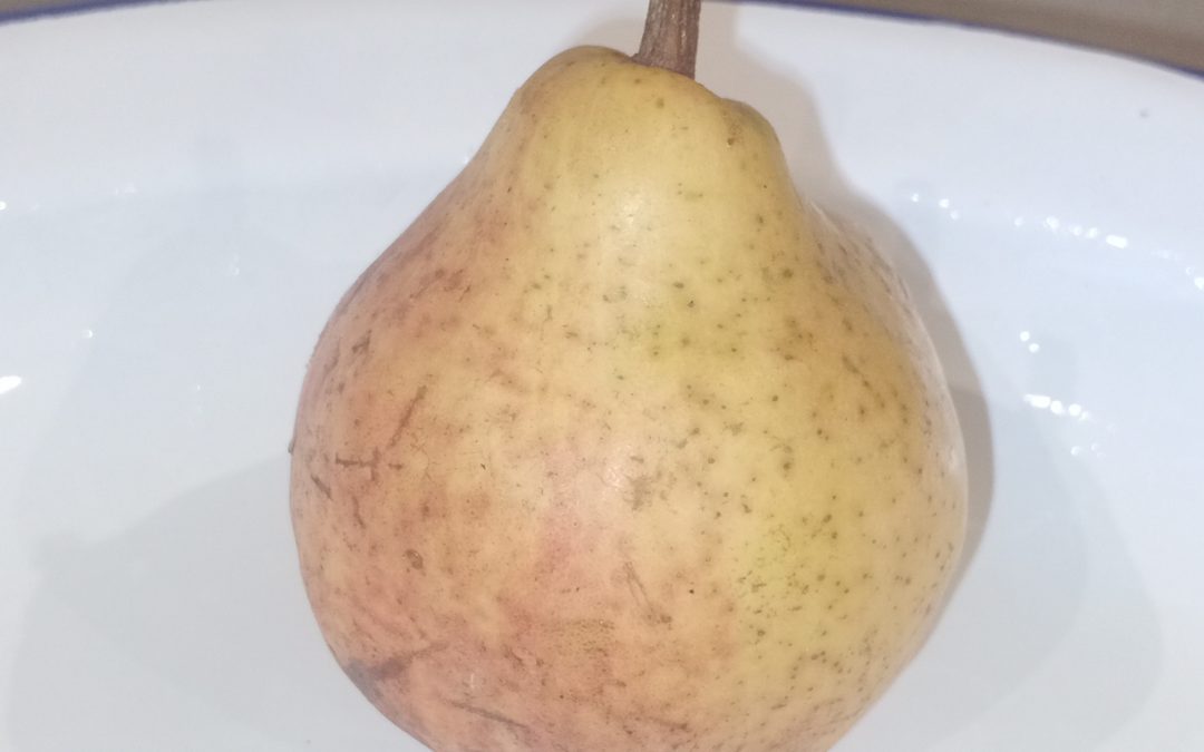 William Bon Chrétien